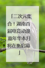 二次元集合！湖南首届电竞动漫嘉年华本月将在衡启幕