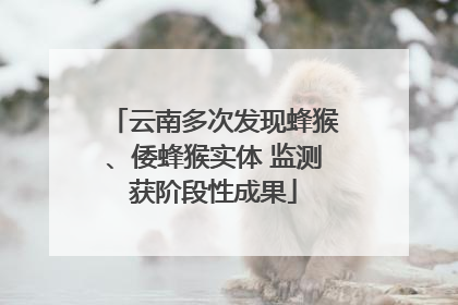云南多次发现蜂猴、倭蜂猴实体 监测获阶段性成果