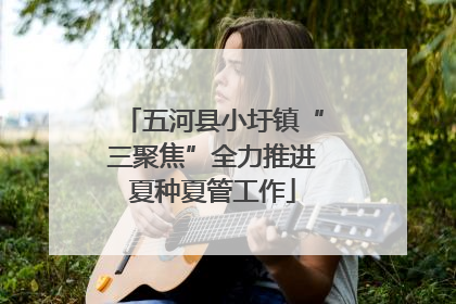 五河县小圩镇“三聚焦”全力推进夏种夏管工作