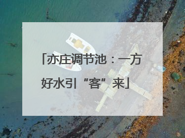 亦庄调节池：一方好水引“客”来