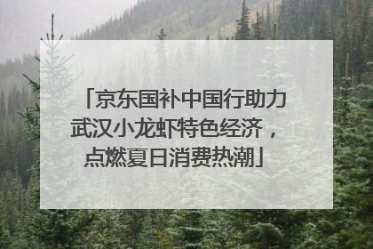 京东国补中国行助力武汉小龙虾特色经济，点燃夏日消费热潮