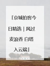 京城拍客今日精选｜风过麦浪香 白塔入云端