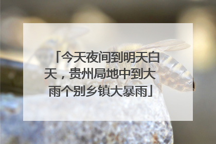 今天夜间到明天白天，贵州局地中到大雨个别乡镇大暴雨