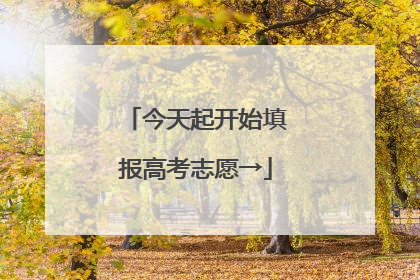 今天起开始填报高考志愿→