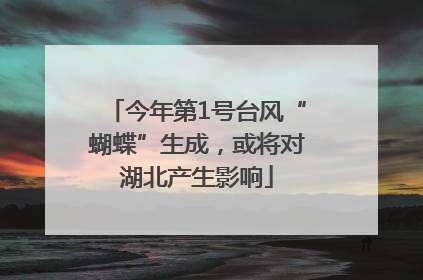 今年第1号台风“蝴蝶”生成，或将对湖北产生影响