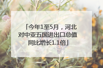 今年1至5月，河北对中亚五国进出口总值同比增长1.1倍