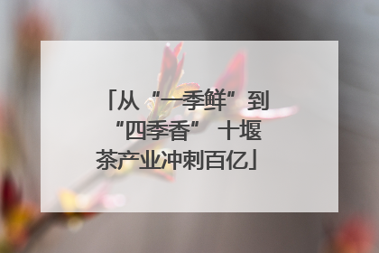从“一季鲜”到“四季香” 十堰茶产业冲刺百亿