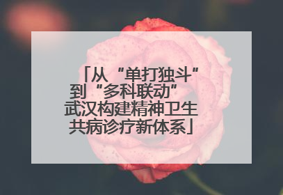 从“单打独斗”到“多科联动” 武汉构建精神卫生共病诊疗新体系