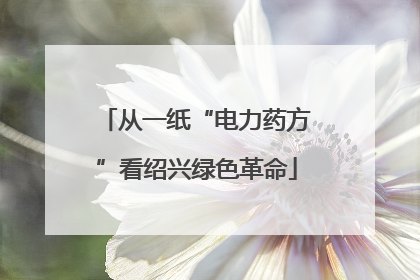 从一纸“电力药方”看绍兴绿色革命