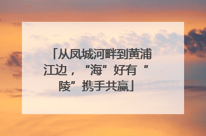 从凤城河畔到黄浦江边，“海”好有“陵”携手共赢