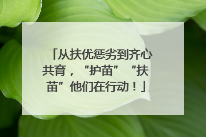 从扶优惩劣到齐心共育，“护苗”“扶苗”他们在行动！