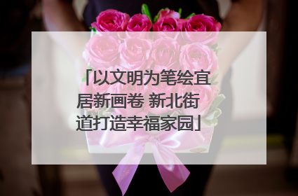 以文明为笔绘宜居新画卷 新北街道打造幸福家园
