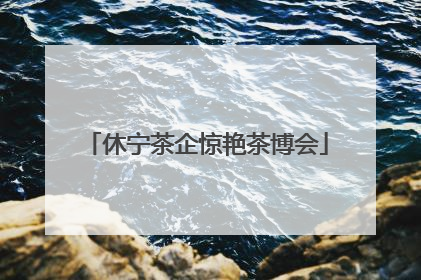 休宁茶企惊艳茶博会