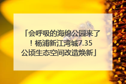 会呼吸的海绵公园来了！杨浦新江湾城7.35公顷生态空间改造焕新