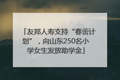 友邦人寿支持“春蕾计划”，向山东250名小学女生发放助学金