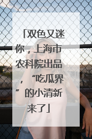 双色又迷你，上海市农科院出品，“吃瓜界”的小清新来了
