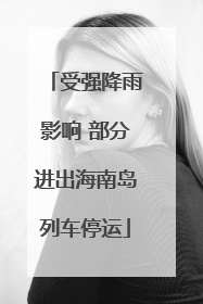 受强降雨影响 部分进出海南岛列车停运