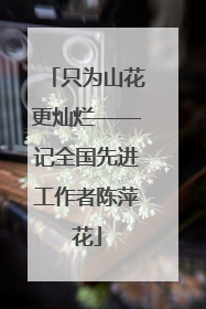只为山花更灿烂——记全国先进工作者陈萍花