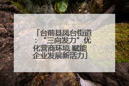 台前县凤台街道：“三向发力”优化营商环境 赋能企业发展新活力