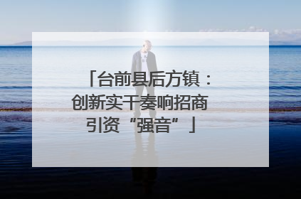 台前县后方镇：创新实干奏响招商引资“强音”
