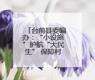 台前县委编办：“小设施”护航“大民生” 保障村民出行安全