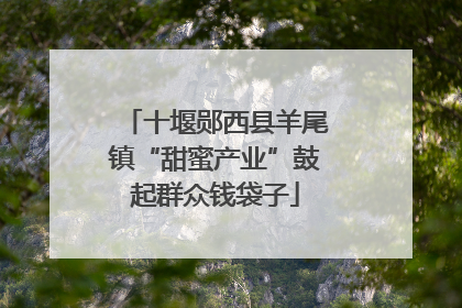 十堰郧西县羊尾镇“甜蜜产业”鼓起群众钱袋子