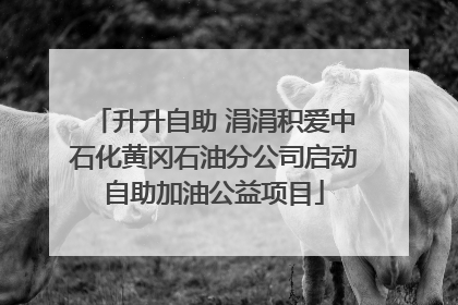 升升自助 涓涓积爱中石化黄冈石油分公司启动自助加油公益项目