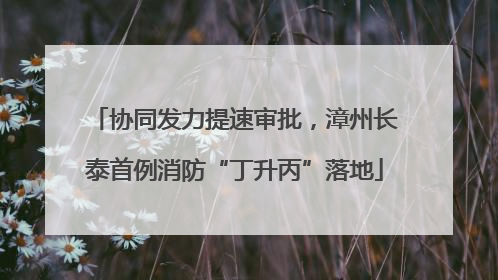 协同发力提速审批，漳州长泰首例消防“丁升丙”落地