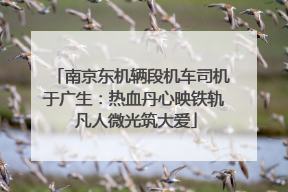 南京东机辆段机车司机于广生：热血丹心映铁轨 凡人微光筑大爱