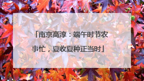 南京高淳：端午时节农事忙，夏收夏种正当时
