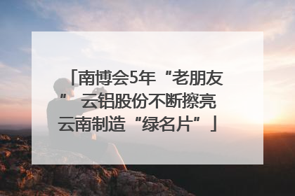 南博会5年“老朋友” 云铝股份不断擦亮云南制造“绿名片”