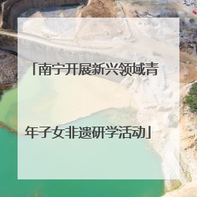南宁开展新兴领域青年子女非遗研学活动