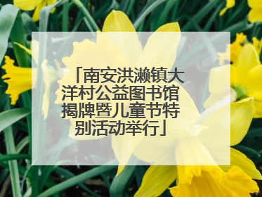 南安洪濑镇大洋村公益图书馆揭牌暨儿童节特别活动举行