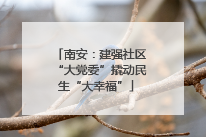 南安：建强社区“大党委”撬动民生“大幸福”