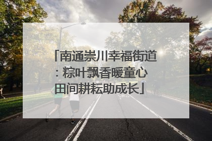 南通崇川幸福街道：粽叶飘香暖童心 田间耕耘助成长