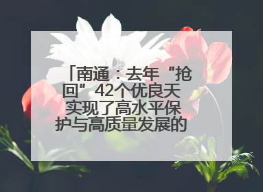 南通：去年“抢回”42个优良天 实现了高水平保护与高质量发展的协同并进