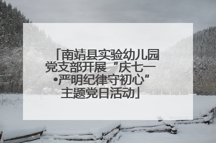 南靖县实验幼儿园党支部开展“庆七一•严明纪律守初心”主题党日活动