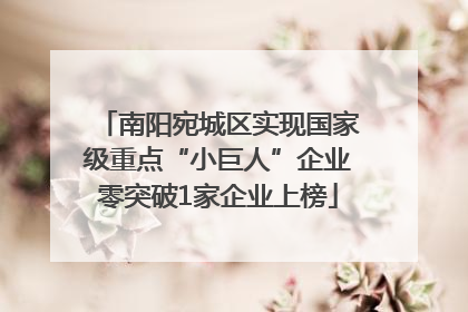 南阳宛城区实现国家级重点“小巨人”企业零突破1家企业上榜