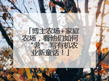 博士农场+家庭农场，看他们如何“薯” 写有机农业新童话！