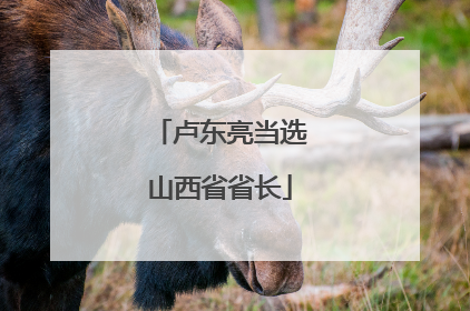 卢东亮当选山西省省长