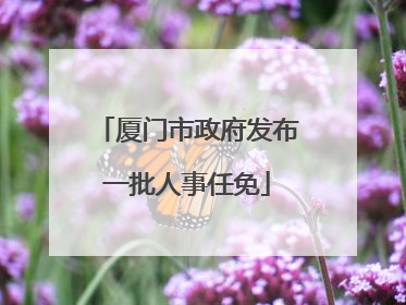 厦门市政府发布一批人事任免