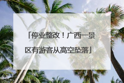 停业整改！广西一景区有游客从高空坠落