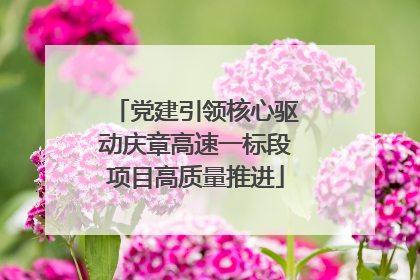 党建引领核心驱动庆章高速一标段项目高质量推进