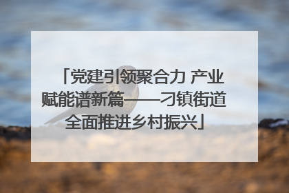 党建引领聚合力 产业赋能谱新篇——刁镇街道全面推进乡村振兴