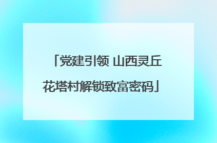 党建引领 山西灵丘花塔村解锁致富密码
