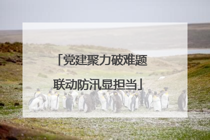 党建聚力破难题 联动防汛显担当