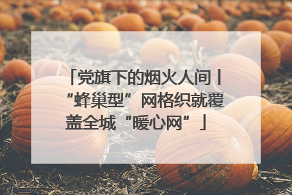党旗下的烟火人间丨“蜂巢型”网格织就覆盖全城“暖心网”