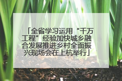 全省学习运用“千万工程”经验加快城乡融合发展推进乡村全面振兴现场会在上杭举行