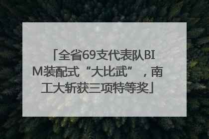全省69支代表队BIM装配式“大比武”，南工大斩获三项特等奖