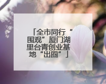 全市同行“围观”厦门湖里台青创业基地“出圈”